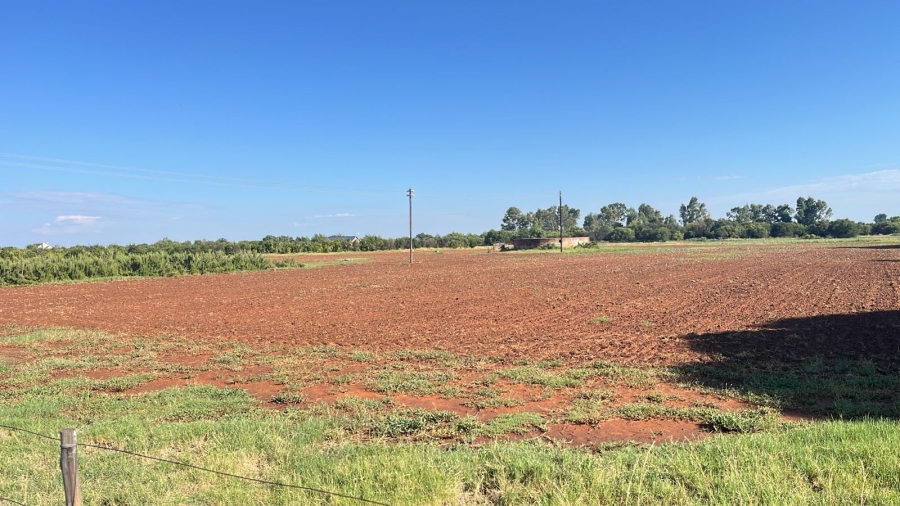 Commercial Property for Sale in Arcadia SH Free State